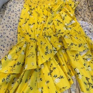 Alice and Olivia skirt